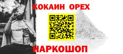 шишки Кимры