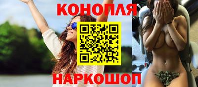 шишки Кимры