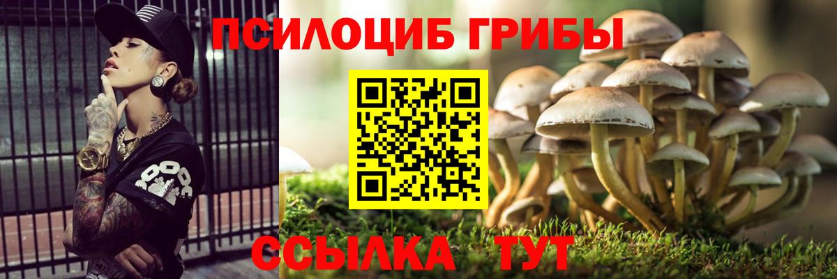 Псилоцибиновые грибы прущие грибы Кропоткин